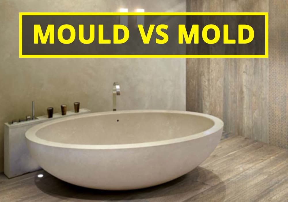 Q A Mould Vs Mold Australian Writers Centre Blog