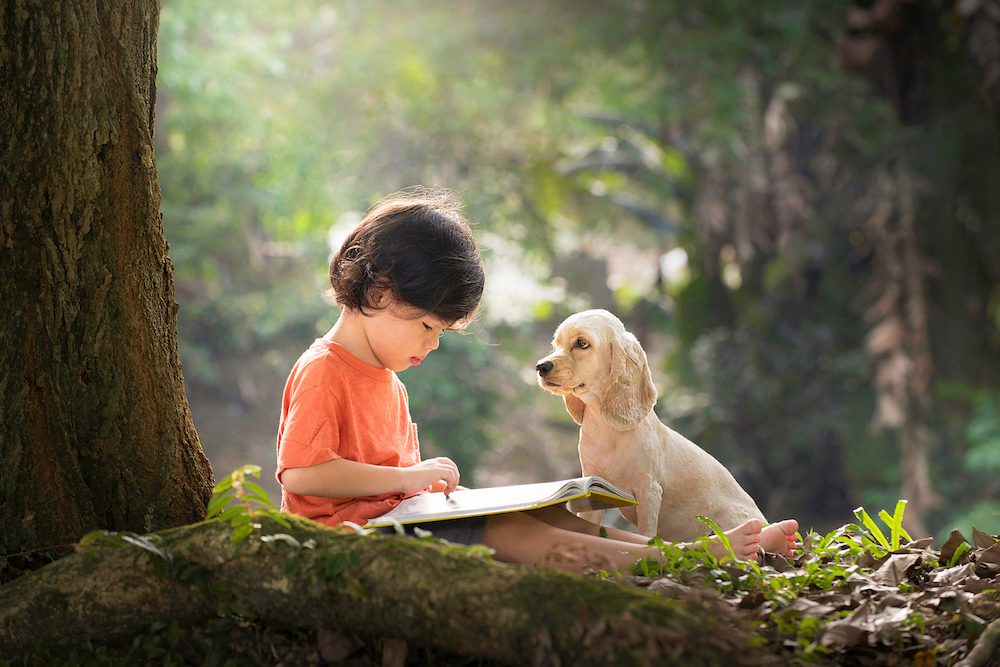 The Smart Story Dogs Who Are Helping Kids To Read Australian Writers Centre Blog